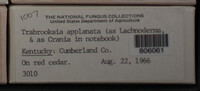 Image Associated With the Occurence